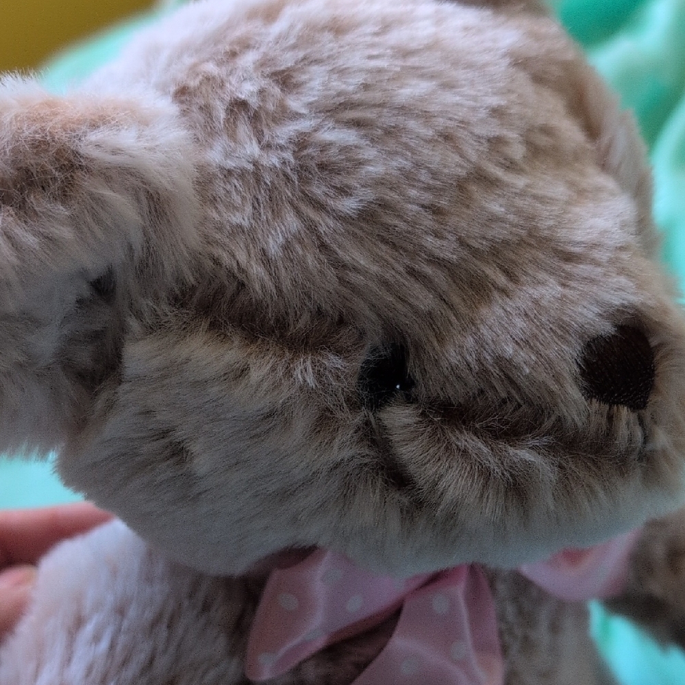 FAO Schwartz Ultra Soft Teddy Bear 🧸 Perfect For Valentine's Day 💘